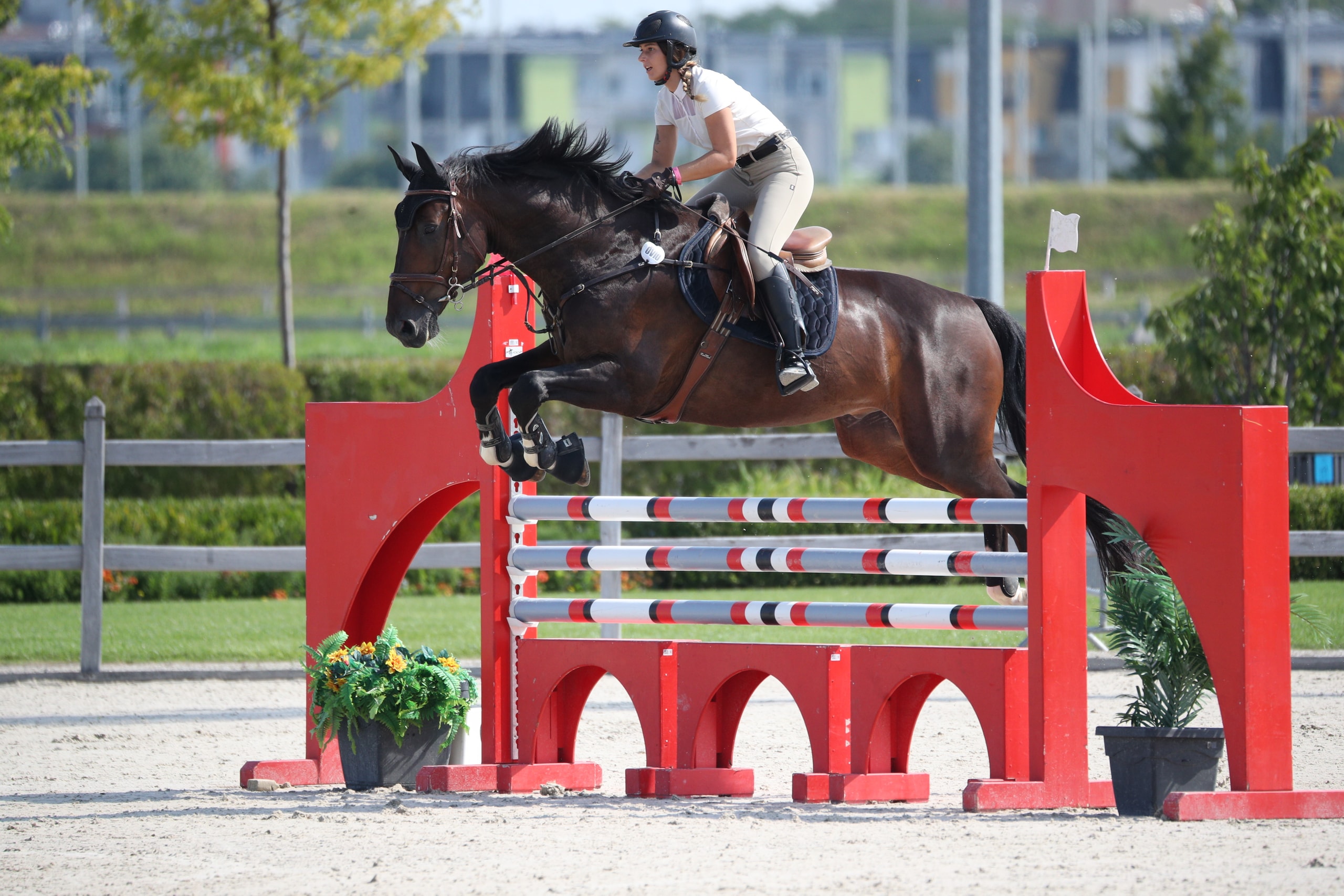 Rider on a horse jumping over a hurdle